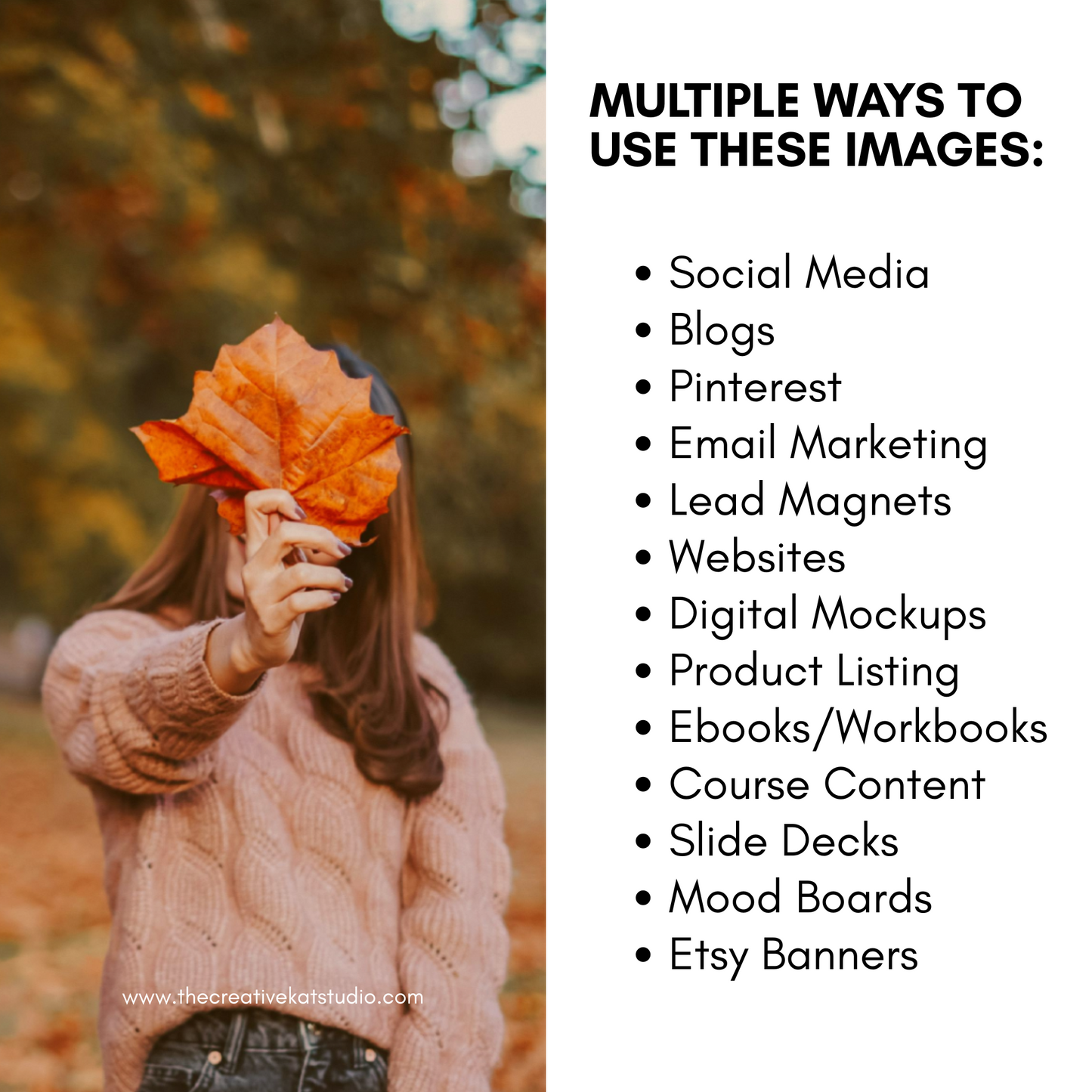 100 Autumn Vibes Collection Stock Images