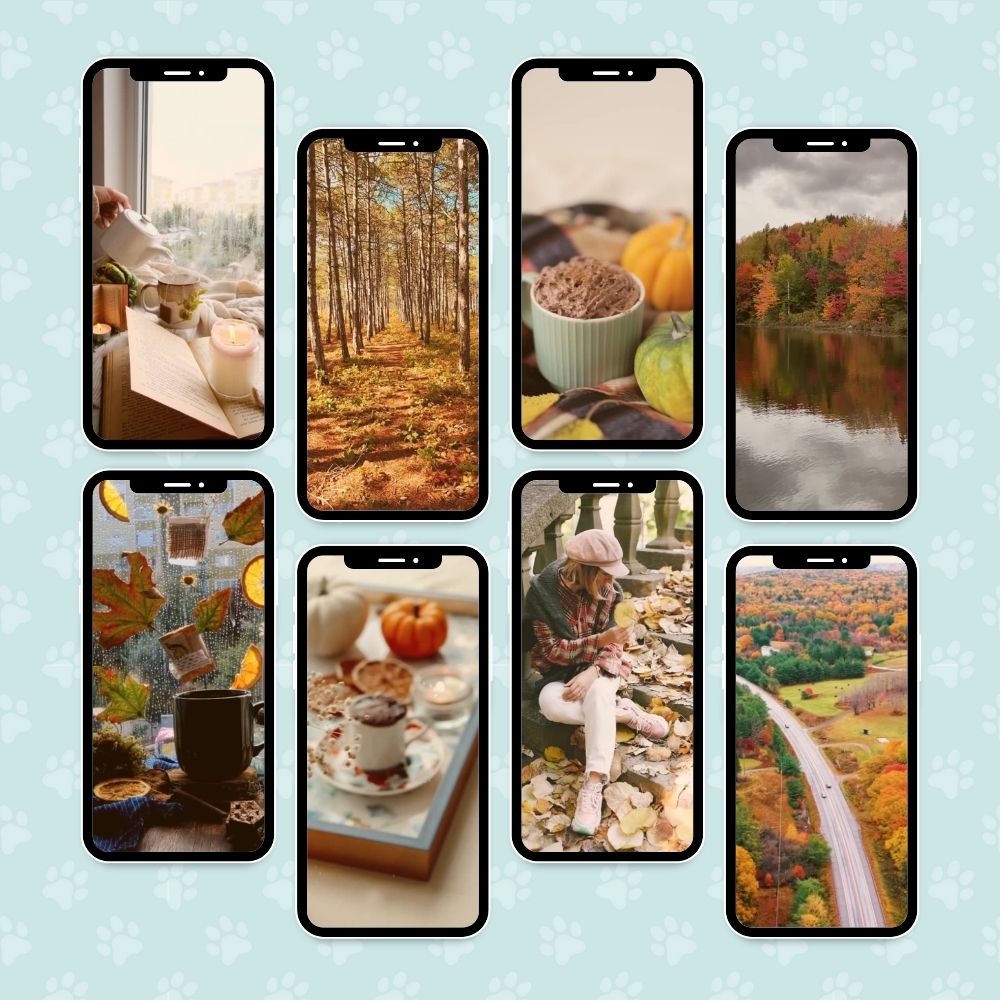 160 Faceless Autumn Reels Templates, with Bonus Story Templates
