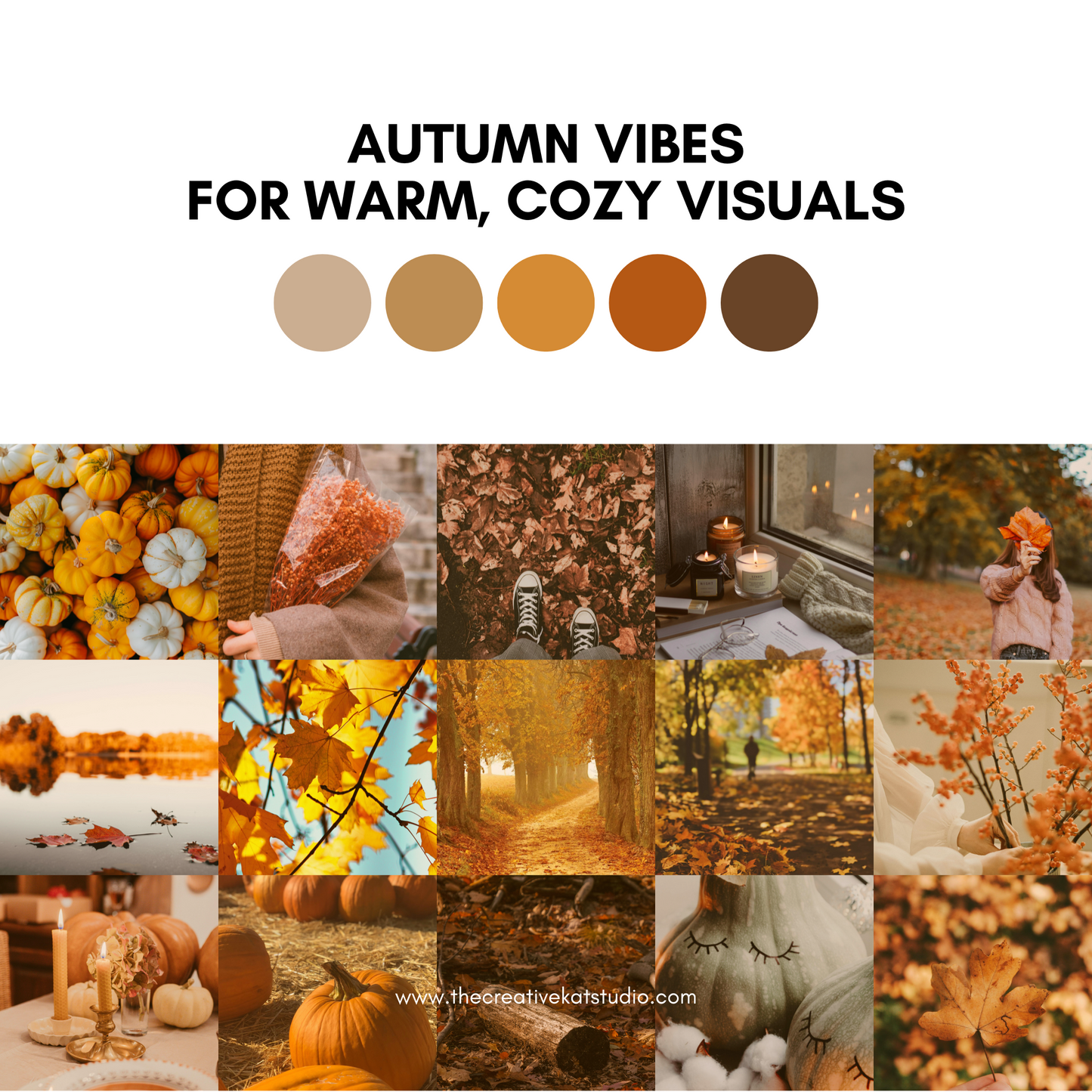 100 Autumn Vibes Collection Stock Images