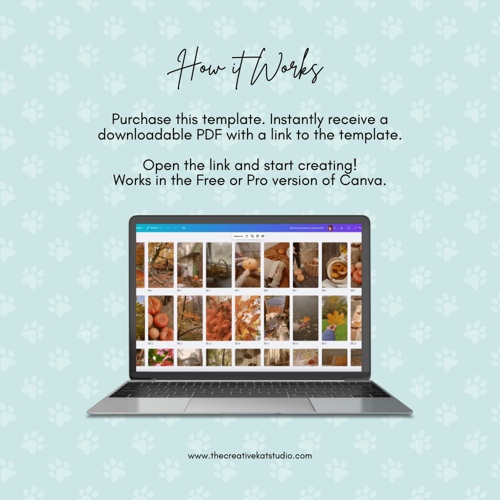 160 Faceless Autumn Reels Templates, with Bonus Story Templates
