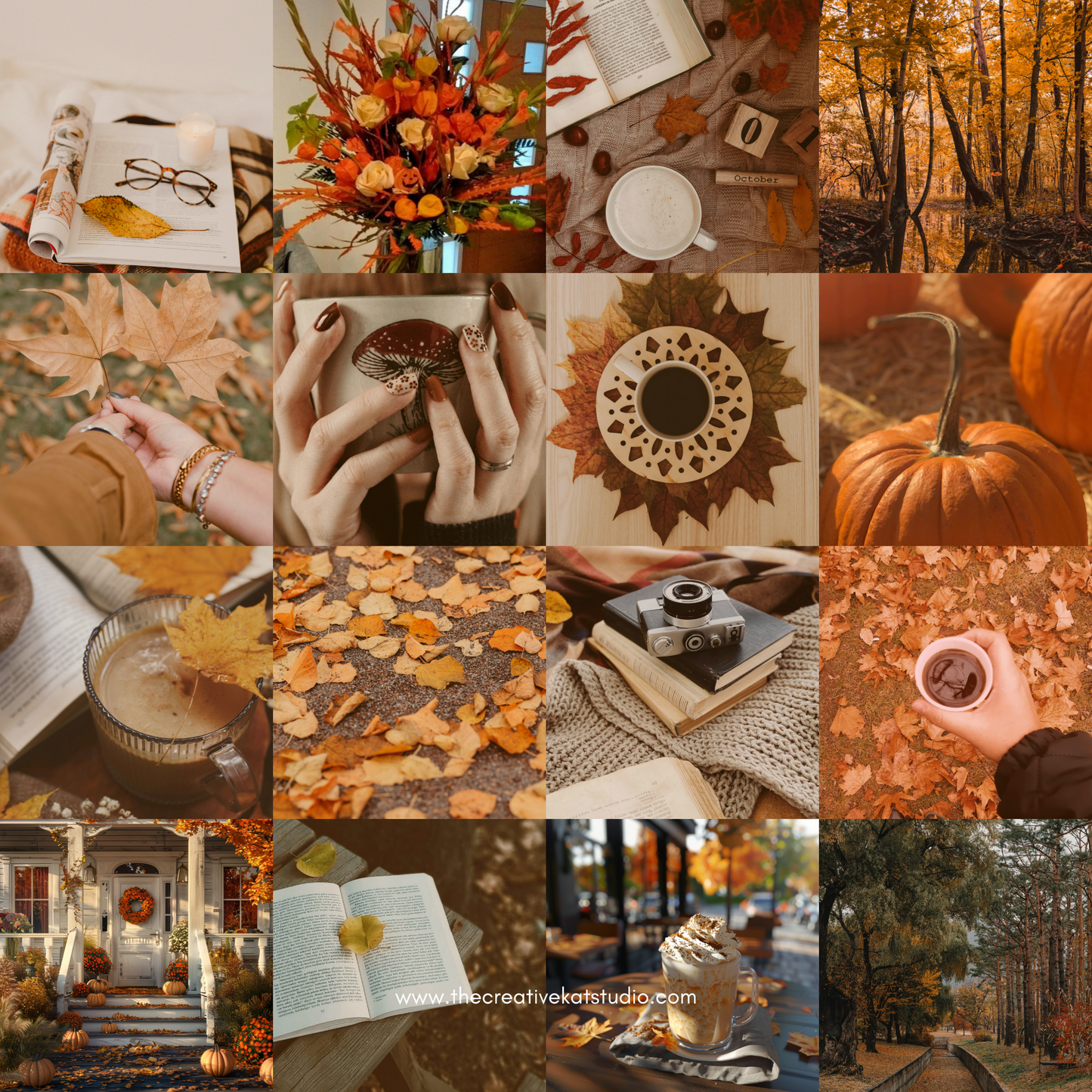 100 Autumn Vibes Collection Stock Images